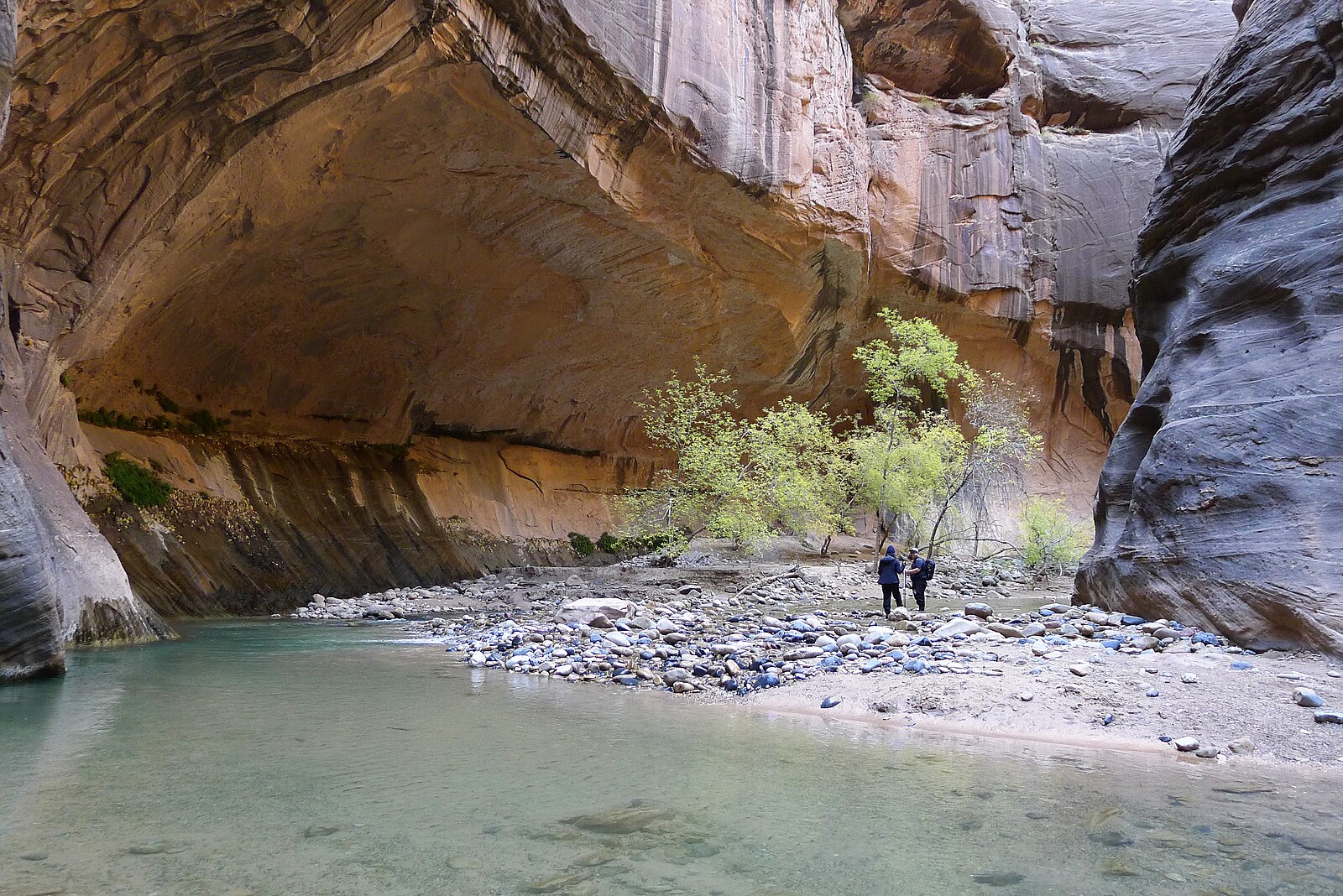 Best Lodging Options Near Zion National Park